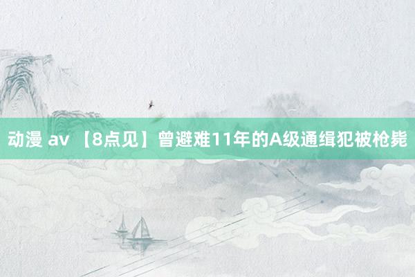 动漫 av 【8点见】曾避难11年的A级通缉犯被枪毙