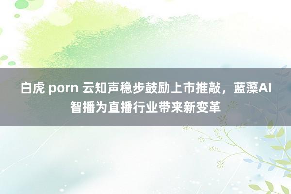白虎 porn 云知声稳步鼓励上市推敲，蓝藻AI智播为直播行业带来新变革