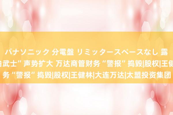 パナソニック 分電盤 リミッタースペースなし 露出・半埋込両用形 “白武士”声势扩大 万达商管财务“警报”捣毁|股权|王健林|大连万达|太盟投资集团