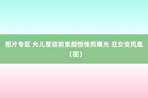 图片专区 允儿整容前素颜惊悚照曝光 丑女变凤凰（图）