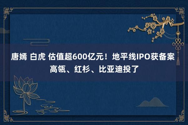 唐嫣 白虎 估值超600亿元！地平线IPO获备案 高瓴、红杉、比亚迪投了