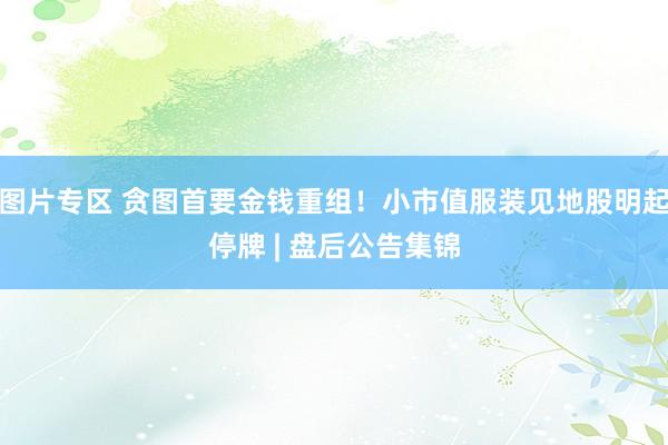 图片专区 贪图首要金钱重组！小市值服装见地股明起停牌 | 盘后公告集锦