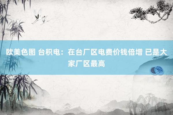 欧美色图 台积电：在台厂区电费价钱倍增 已是大家厂区最高