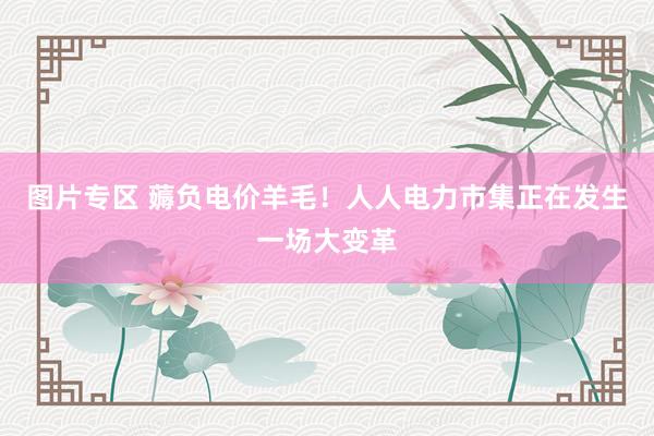 图片专区 薅负电价羊毛！人人电力市集正在发生一场大变革