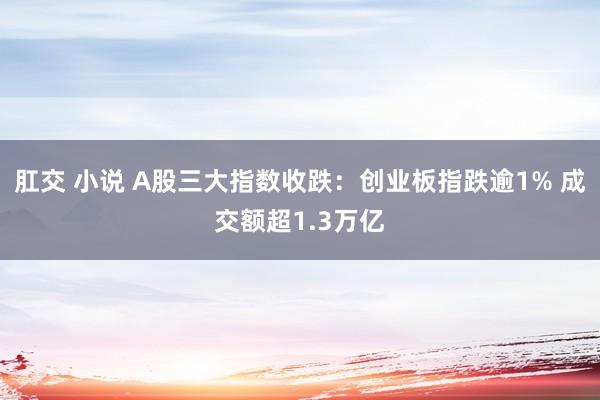 肛交 小说 A股三大指数收跌：创业板指跌逾1% 成交额超1.3万亿