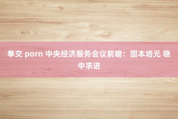 拳交 porn 中央经济服务会议前瞻：固本培元 稳中求进