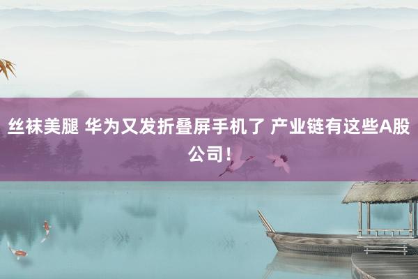 丝袜美腿 华为又发折叠屏手机了 产业链有这些A股公司！