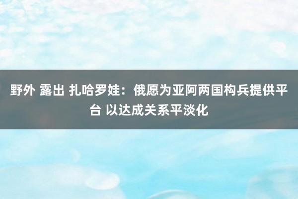 野外 露出 扎哈罗娃：俄愿为亚阿两国构兵提供平台 以达成关系平淡化