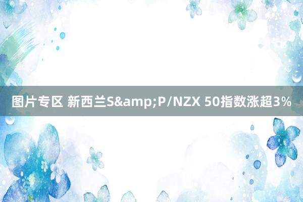 图片专区 新西兰S&P/NZX 50指数涨超3%
